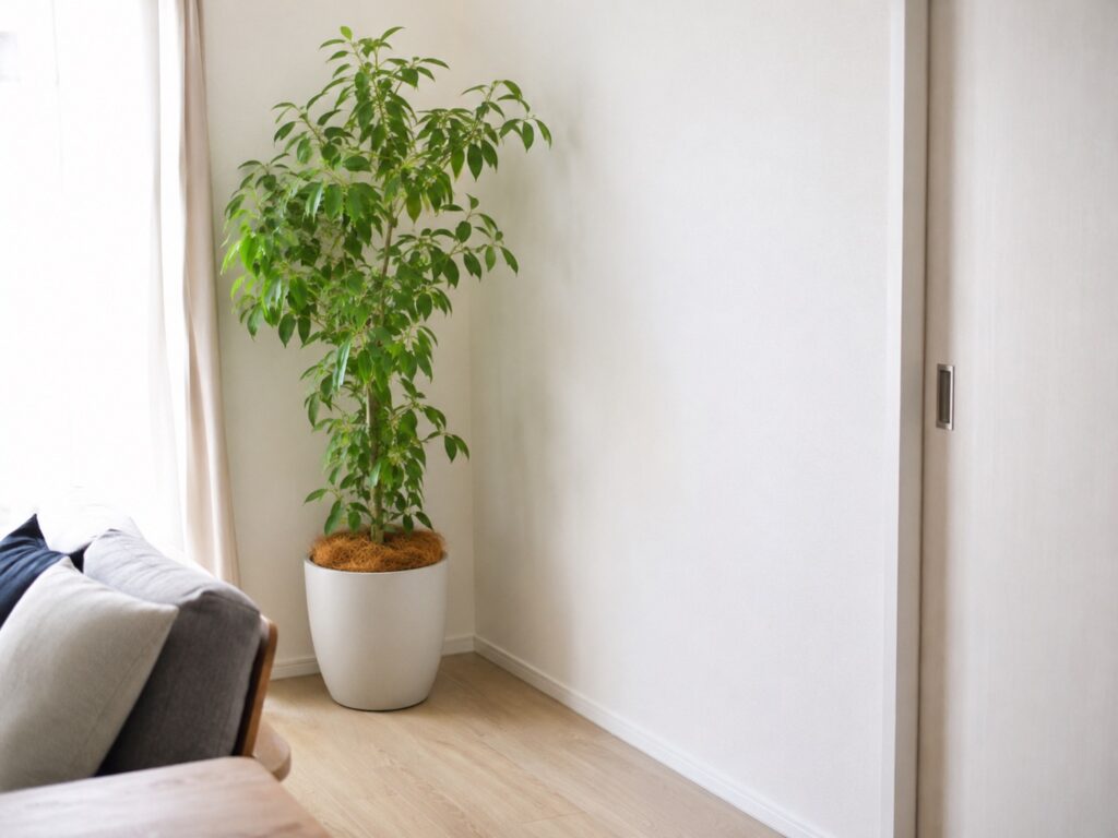 観葉植物と一緒に暮らす